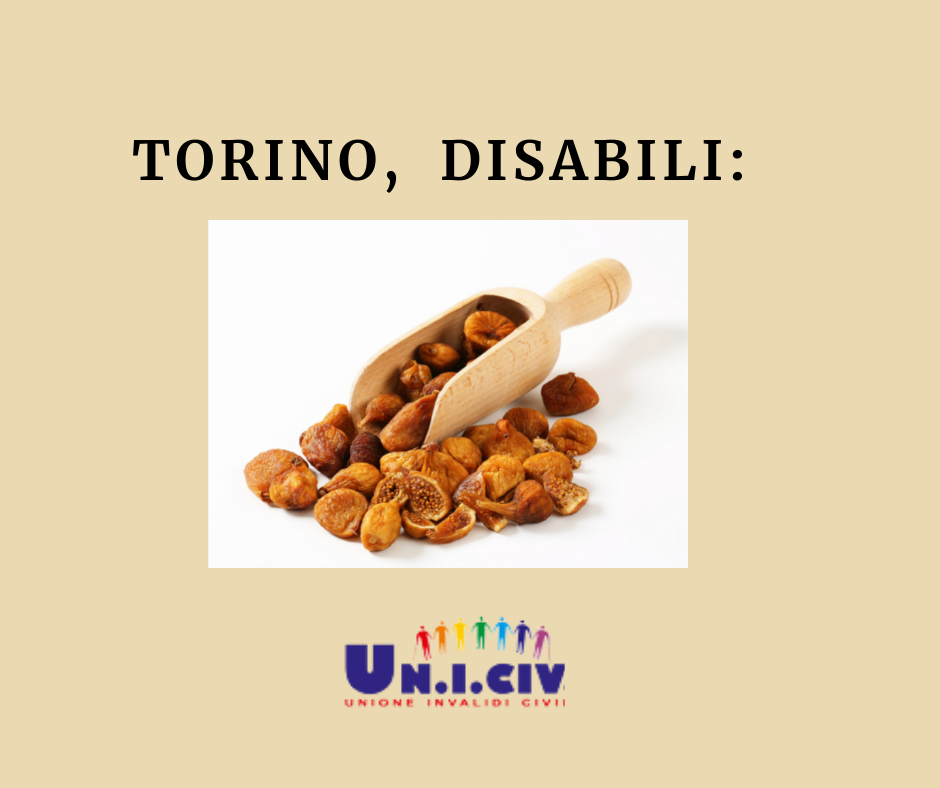 Torino, disability manager